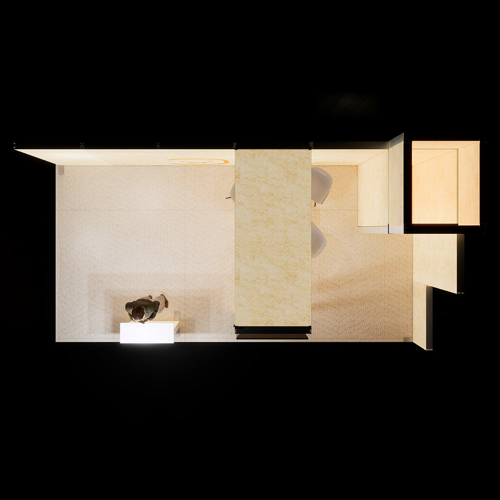 Lively Showcases LS10-3x6B